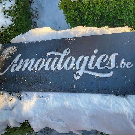 Villa Amoulogies Amougies المظهر الخارجي الصورة
