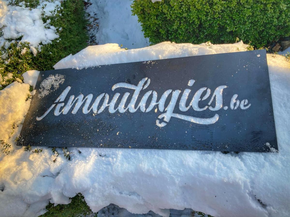 Villa Amoulogies Amougies المظهر الخارجي الصورة
